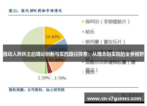 推动人民民主的理论创新与实践路径探索：从理念到实现的全景视野